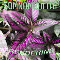 Rendering- Somnambulite
