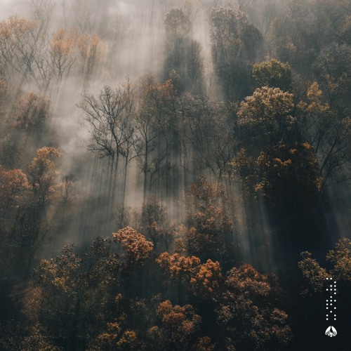 Chris Gerber - falling backwards