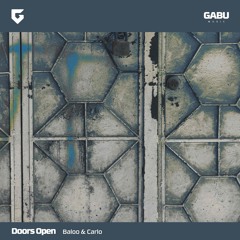 PREMIERE: Baloo, Carlo - Doors Open (Brawther Remix) [Gabu Records]