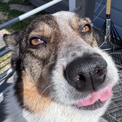 Sine from Above (Nightcore Remix)