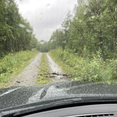 Tillbaks till Tåsjö