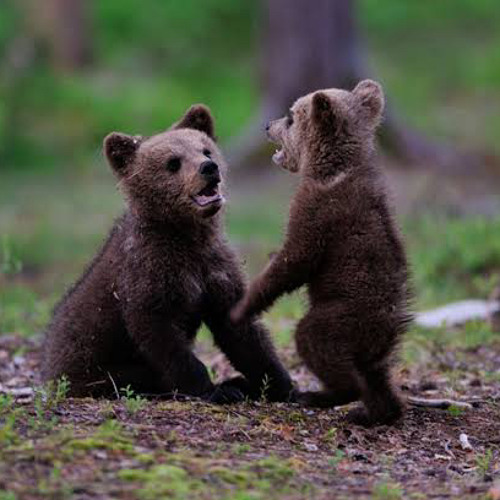 when boys cry (irby)