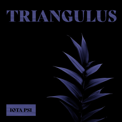 Triangulus