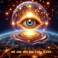 We Are 3rd Eye - CAPA Data
