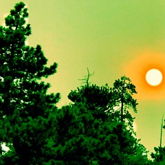 Blueberry Bass And Drums And Bloop Guitar