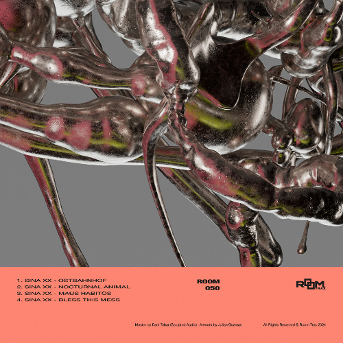 Sina XX - Nocturnal Animal [SOMA SELECTS Premiere]