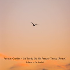 Furkan Gulden - La Tarde Se Ha Puesto Triste (Remix) (Tribute To Dr. Kucho!) *FreeDownload