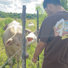 everyday (ft. Becca)