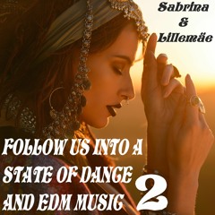 Follow Us Into A State Of Dance & Edm Music 2