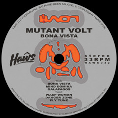 𝐇𝐔𝐑𝐅𝐂𝐋𝐔𝐒𝐈𝐕𝐄 ➟ Mutant Volt - Wasp Woman