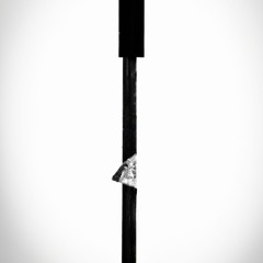 Albert Salvatierra - Pulsar