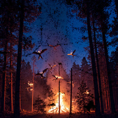 BURN (feat. The Quiett, Leellamarz & ZENE THE ZILLA)
