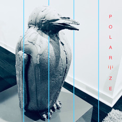 Polariiize (prod. little will)