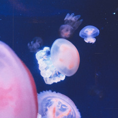 jellyfish (prod. yogic)