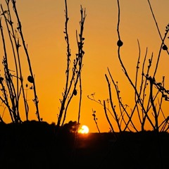 Ibiza Global Radio | Music Sounds Better With Us | TUE18th 18:00 2022