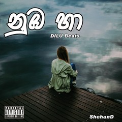 Numba Ha (Suraganak Wilasa) - DILU Beats
