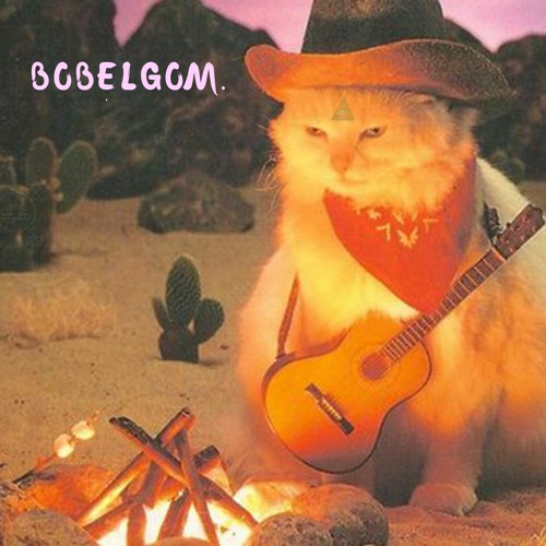 BOBELGOM