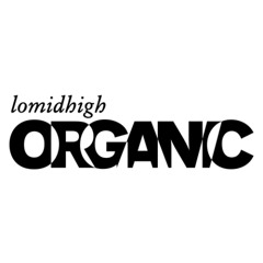 Retrospections: Lomidhigh Records, mixed by DDALMH
