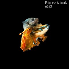Pointless Animals - Adapt (Audio3K MASTER).wav
