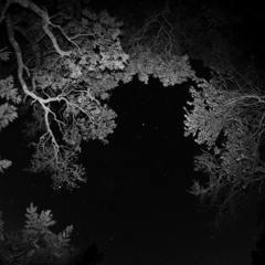 Global Darkness - XNDR