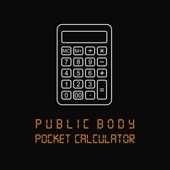 Pocket Calculator (Kraftwerk Cover)