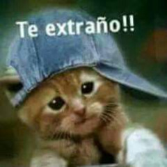 hecho