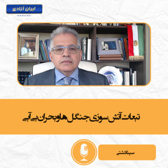 تبعات آتش‌سوزی جنگل‌ها و بحران بی‌آبی