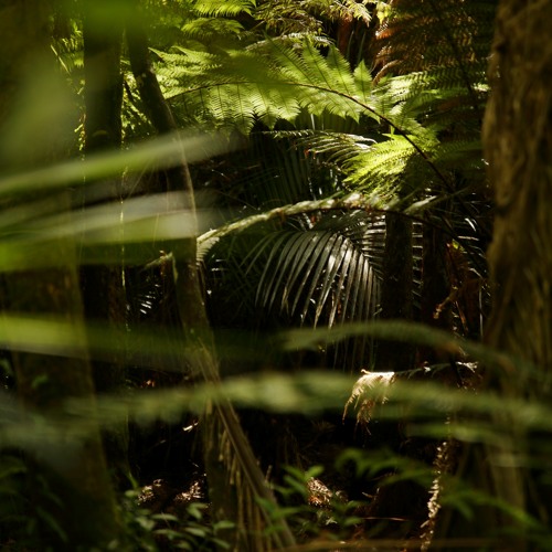 Night so remix - disquiet0520