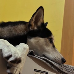 WORKROOM (open verse)