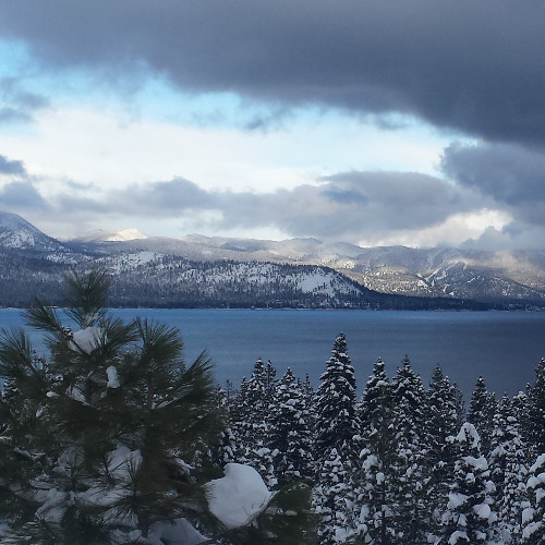 Keep Tahoe Deep 6-1-2024 The Charlie Mix <3