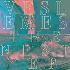 Veslemes - The Nest (Sordid Sound System Remix)[Rotten City Files]