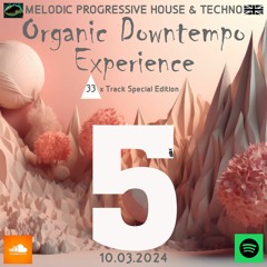Organic Downtempo Experience 5 Deep Chill Ethno Afro Melodic Progressive House Techno Electronic DJ