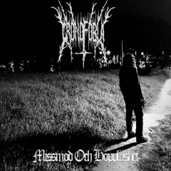Death Gives Me a Warm Sensation