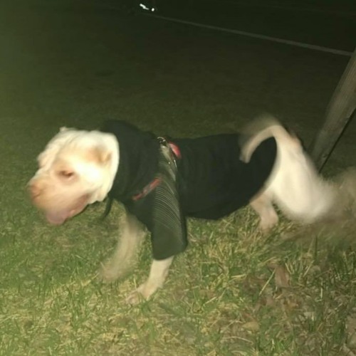 digging into trip 56 sky ocean old r&b