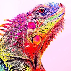 Da Iguana 2021