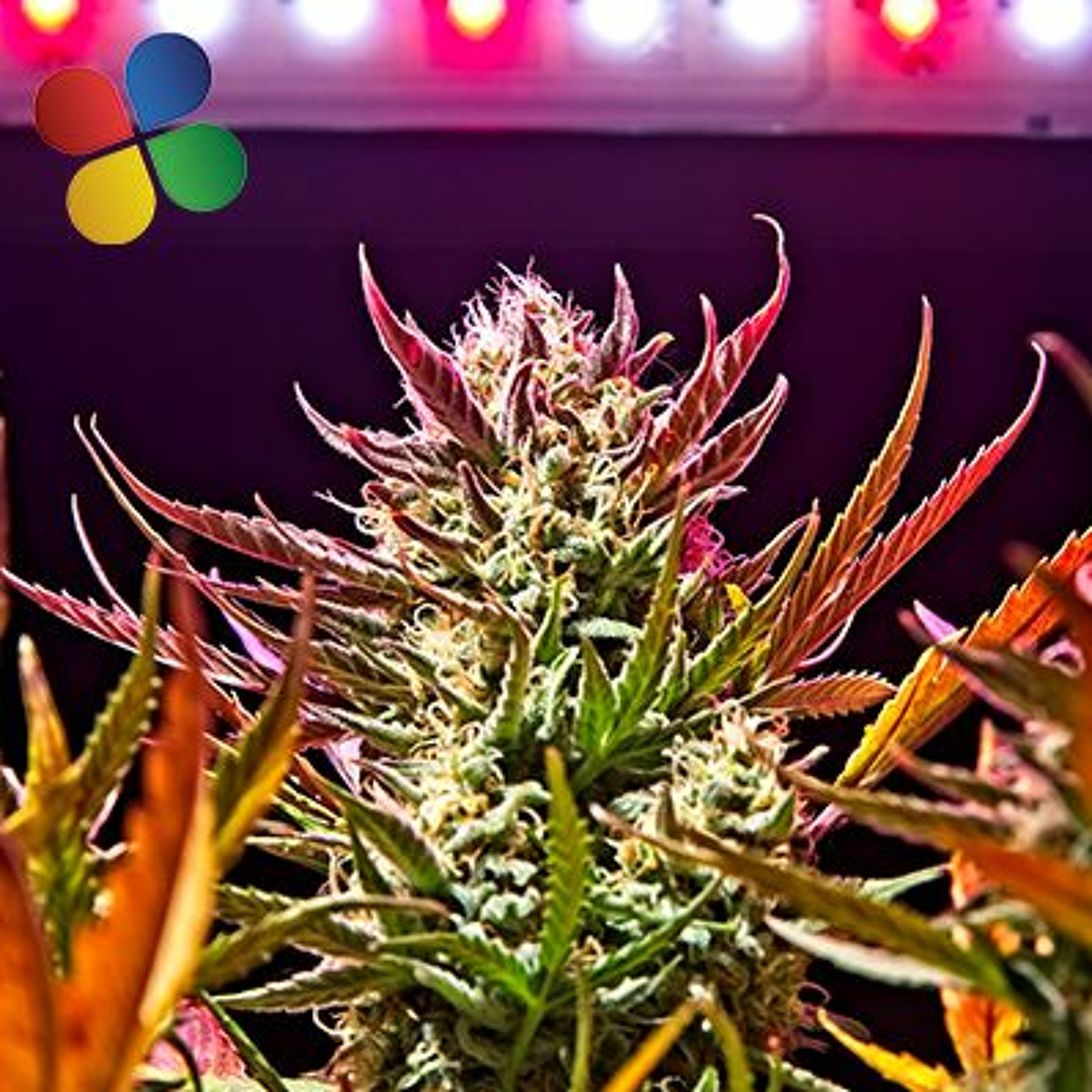 GreenTech podcast