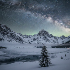 Gentle Snowfall at Christmas