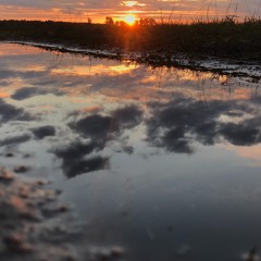 Reflect