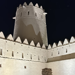 أنا معك عن باقي الناس مشغول