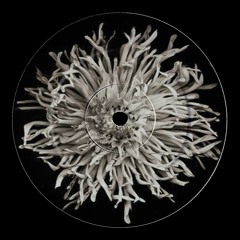 Around - Noir & Haze (Molothav, Charles Bora Edit) [HZRX]