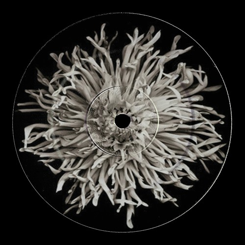 Around - Noir & Haze (Molothav, Charles Bora Edit) [HZRX]