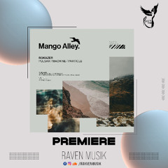 PREMIERE: Rokazer - Pulsar [Mango Alley]