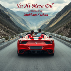 Tu Hi Mera Dil
