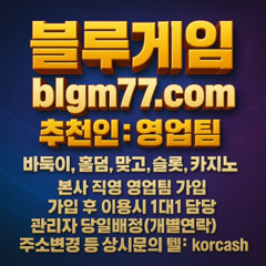 블루ㅂㅏ둑이, 블루ㄱㅔ임, 추ㅊㅓㄴ인영업팀, 블루ㅎㅗㄹ덤, ㅋㅐ시ㅎㅗㄹ덤, 토ㄴㅓ먼트