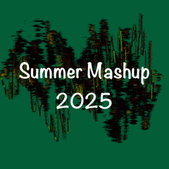 Insane(Mashup) SUMMER
