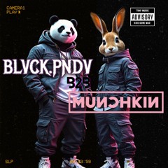 Are You That Sombody [BLVCK.PNDV x MUИƆHKIИ VIP Mashup Flip]