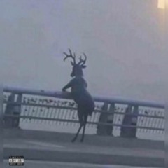 G3TT1NG 0LD3R prod. J TONI