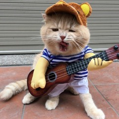 Dù Cho Tháng Năm Kia Đổi Thay Remix / Dân Bay Plus