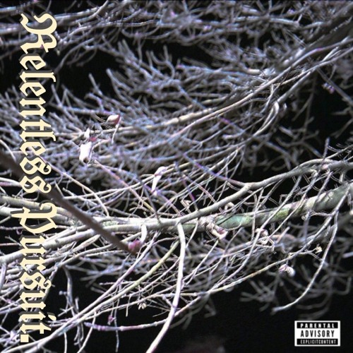 Young Hoss - Blame It On Me