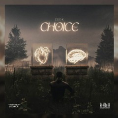 ZEDK - Choice